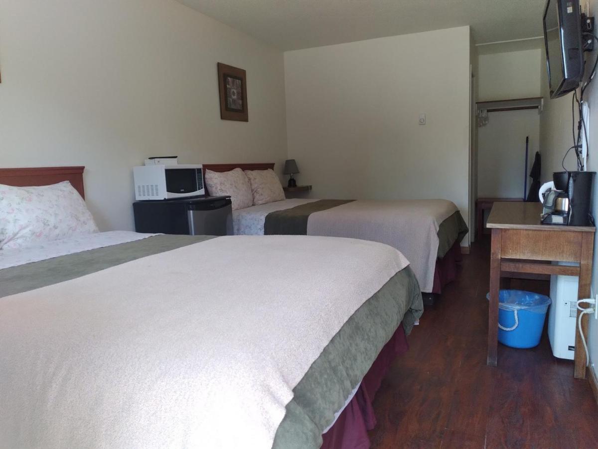 Dolphin Motel Tofino Ngoại thất bức ảnh